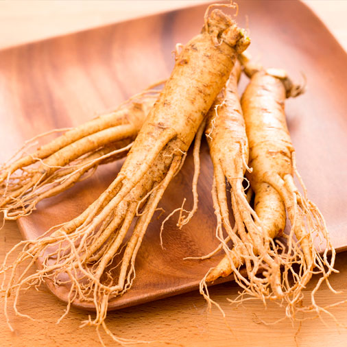 ginseng